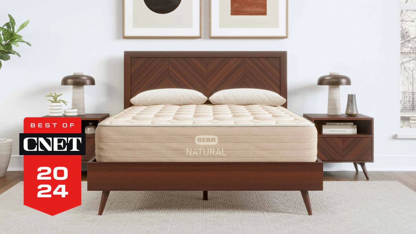 Bear Natural Latex Hybrid Mattress