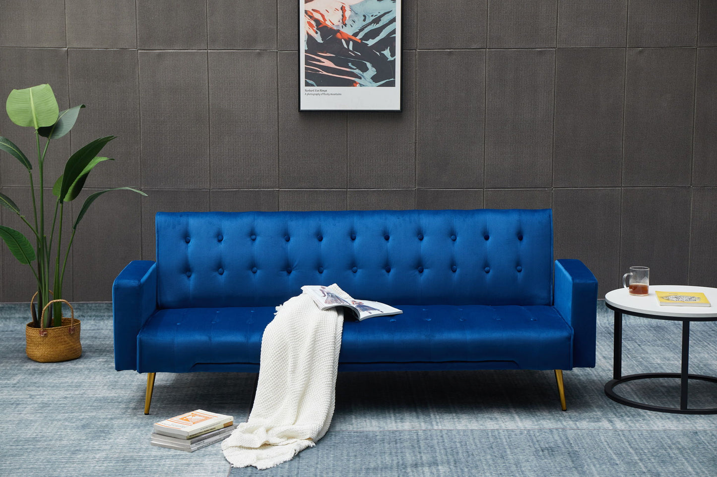 Comfort Compact Design Sofa Bed