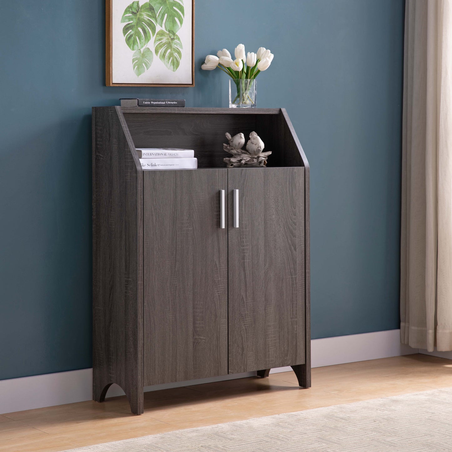 Modern Shoe / Storage Cabinet Two Door With 4 Shelves