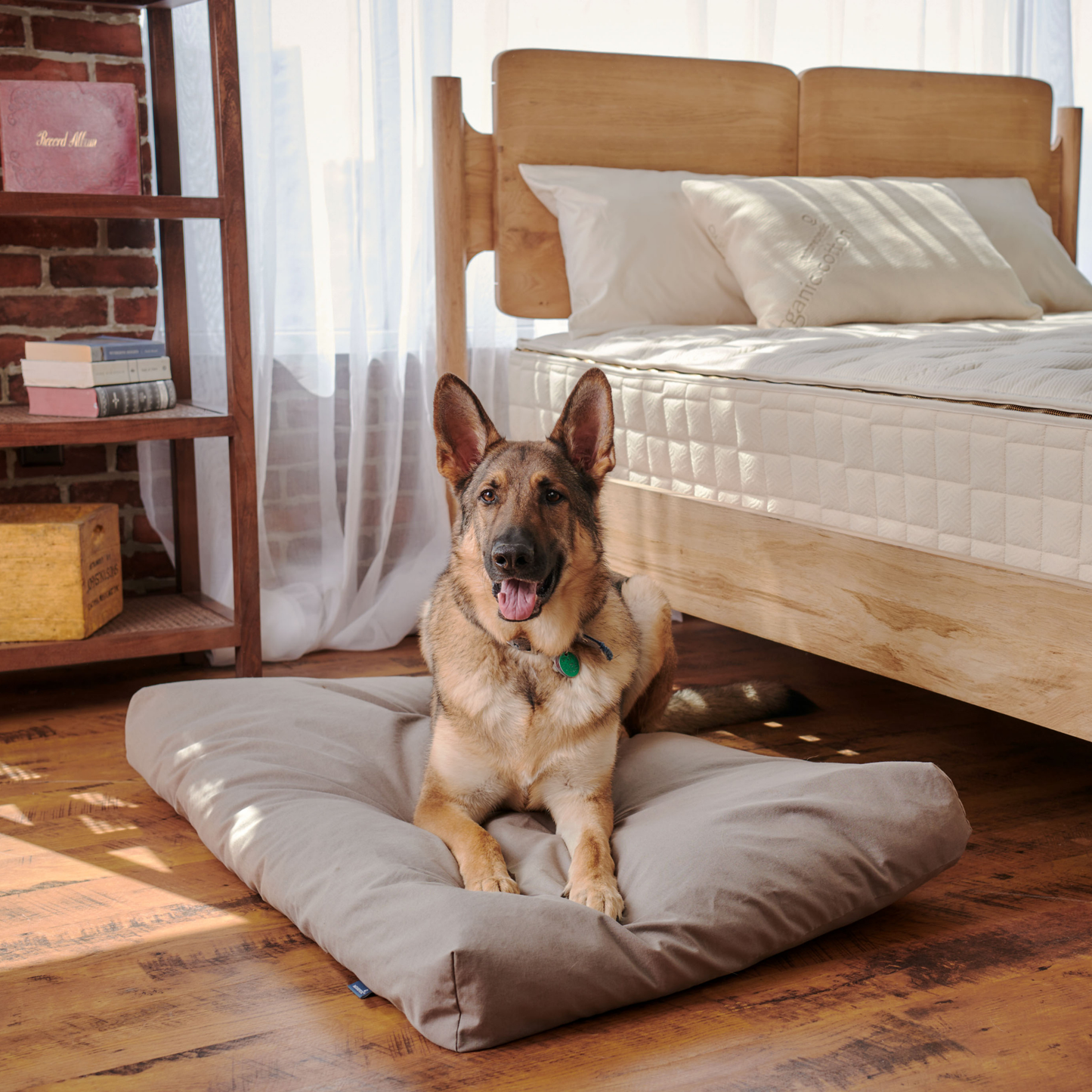 Naturepedic Organic Latex Dog Bed