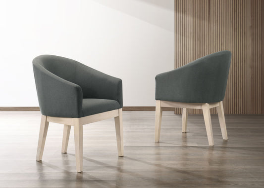 Neroli - Barrel Accent Chair (Set of 2) - Gray