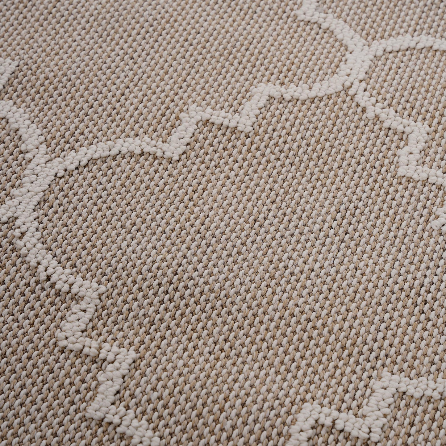 Trellis Indoor / Outdoor Area Rug