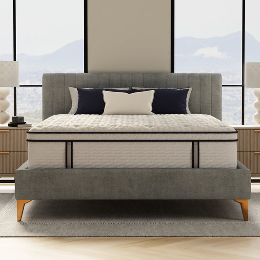 South Bay 14" Sofinity Hybrid Plus Mattress - Medium Soft